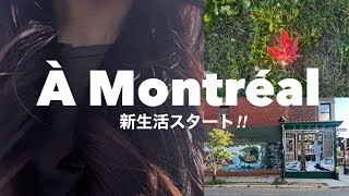 【モントリオール生活】 秋の新生活スタート編‼︎