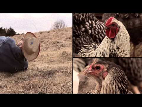 'Raw Meat'- Hand Job Academy OFFICIAL VIDEO