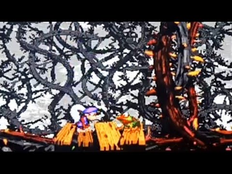 Spoiler: DKC2 Unveiled Winky Secret Easter Egg