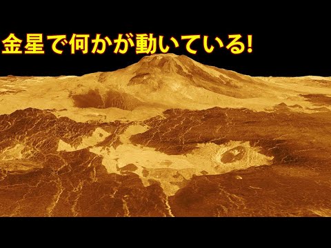 金星の発見:研究者らが「流氷」テクトニクスを実証
