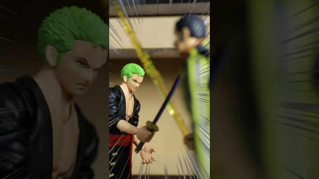 【ワンピース】ゾロと黄猿の稽古中に！？の結末が予想外すぎた…