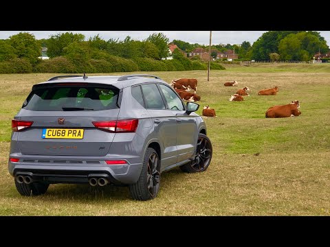 Blown Away By The 350BHP Seat Cupra Ateca Limited Edition ABT *Review*