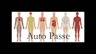 Auto Passe Bioenergético