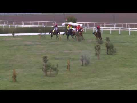 BR, 13. 4. 2019, 7. dostih - Jarní brněnská stch-Pohár hejtmana JM kraje XI ročník