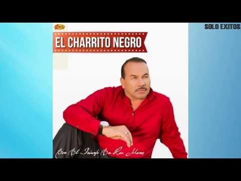 A punta de Trago - Charrito Negro