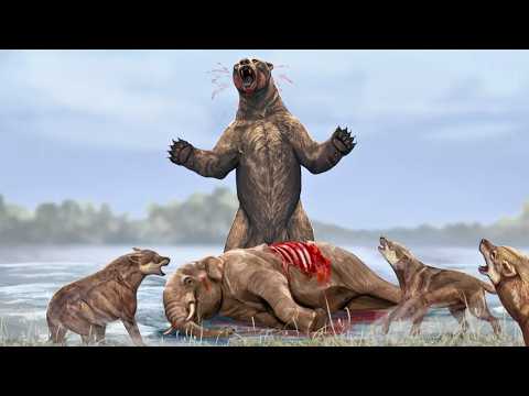 Ice Age America Was Basically Africa On Steroids