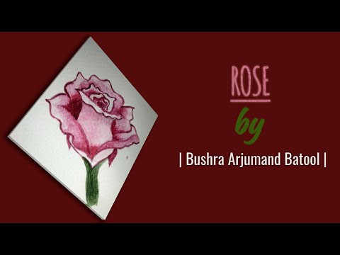 ROSE | Bushra Arjumand Batool | FLOWERS series #10