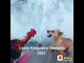 Londa Kyagulanyi