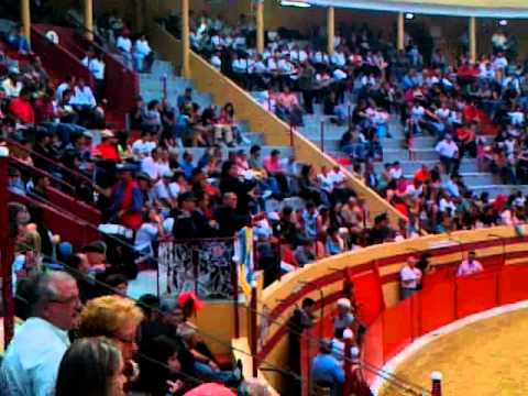 Tourada Abiúl 06-08-2011 - José Henriques - Melhor Cornetista