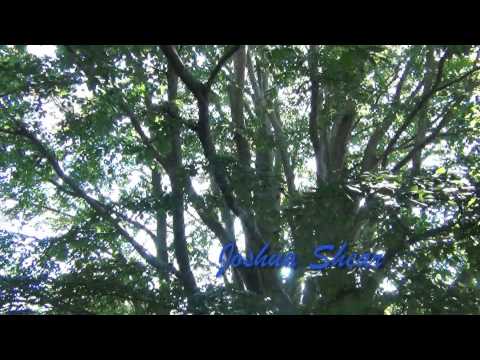 From East 2 West Cinematic Trailer