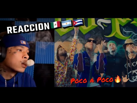 REACCION A C.R.O, OVI, LIT killah, Aleman - Poco a Poco // SholoGG
