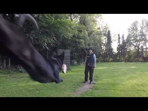 Bazooka von Pike´s Spirit - UO und SD mit 23 Monaten