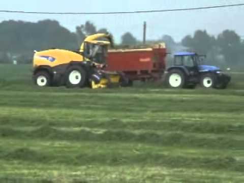 Goemaere Raf: Gras hakselen.