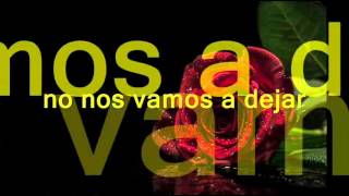 No nos vamos a olvidar  Bronco