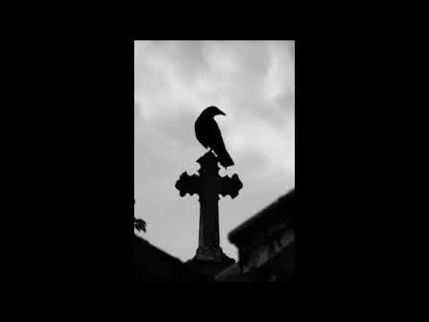 DUNK ANTÓN - CUERVOS