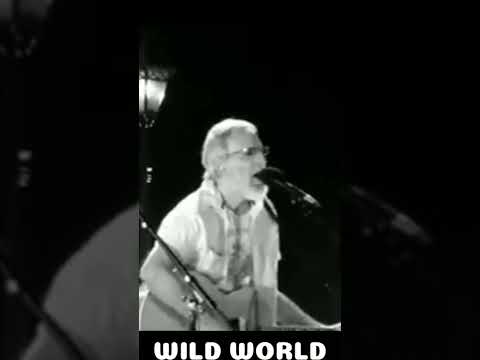 CAT STEVENS FEAT CHRIS CORNELL - WILD WORLD