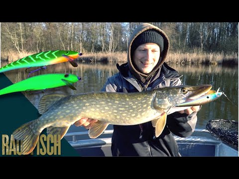 Matze Koch UV-Wobbler im Test