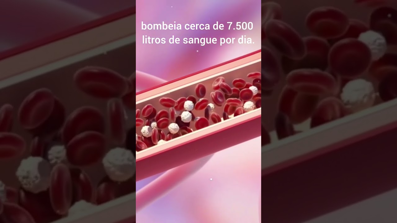 O coração humano bombeia aproximadamente sete mil e quinhentos litros de sangue por dia.