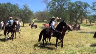 preview picture of video 'Finegold, Easter Meadow - Fresno's Cabaleros Dancing Horses'