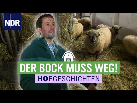 Der Bock muss weg! | Hofgeschichten: Leben auf dem Land (226) | NDR