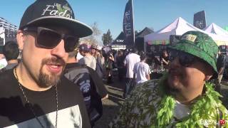 High Times Cannabis Cup 2015 (Los Angeles) | BREAL.TV
