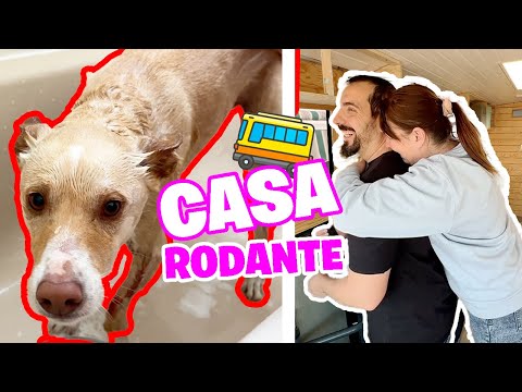 RUTINA de tarde en CASA RODANTE ¡Familia numerosa decsubre...