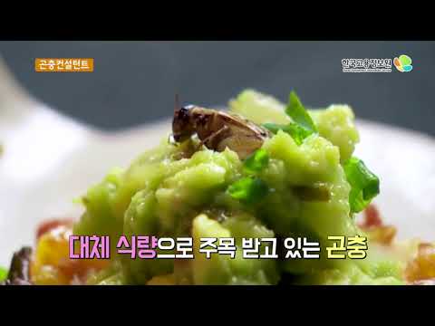 2018내일을Job아라(신직업)_곤충컨설턴트