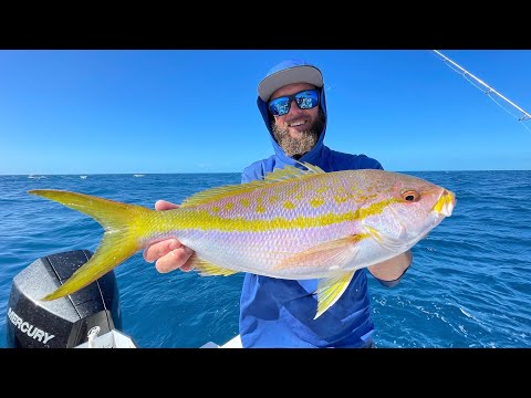 Accidentally Catching Giant Yellowtail Snapper | Key West, Florida | Catch Clean Cook