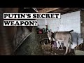 RUSSIAN WARBLOGGERS ARE BAFFLED AND ENRAGED WHY ARE WE USING COMBAT DONKEYS ON THE FRONT 2025