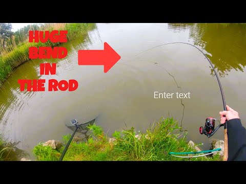 Float fishing for Crucian Carp at White House Farm fishery