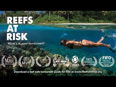 【海洋教育】防曬乳嚴重危害珊瑚！禁用有毒成分保護海洋！ (Reefs At Risk - Hawaii bans sunscreens with oxybenzone)