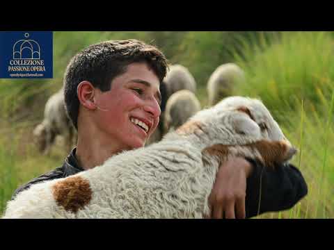 IGOR KULJERIC - ANIMAL FARM” Nowacki, Kolar, Tomčić, Rilović, Lucić,  Boroša. ZAGREB 05.04.2003