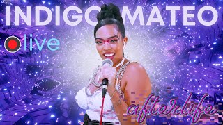 Afterlife Music Video