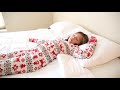 Pillowtex Hotel Blanket