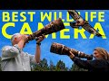 $20k Wildlife Cameras: Sony a1 vs Nikon Z9 vs Canon R5