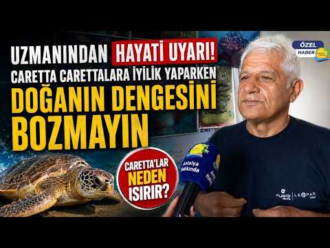 Uzmanı uyardı: “Caretta carettalara yaklaşmak ve ışık tutmak çok zararlı!”
