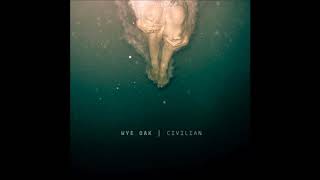 Wye Oak - dogs eyes