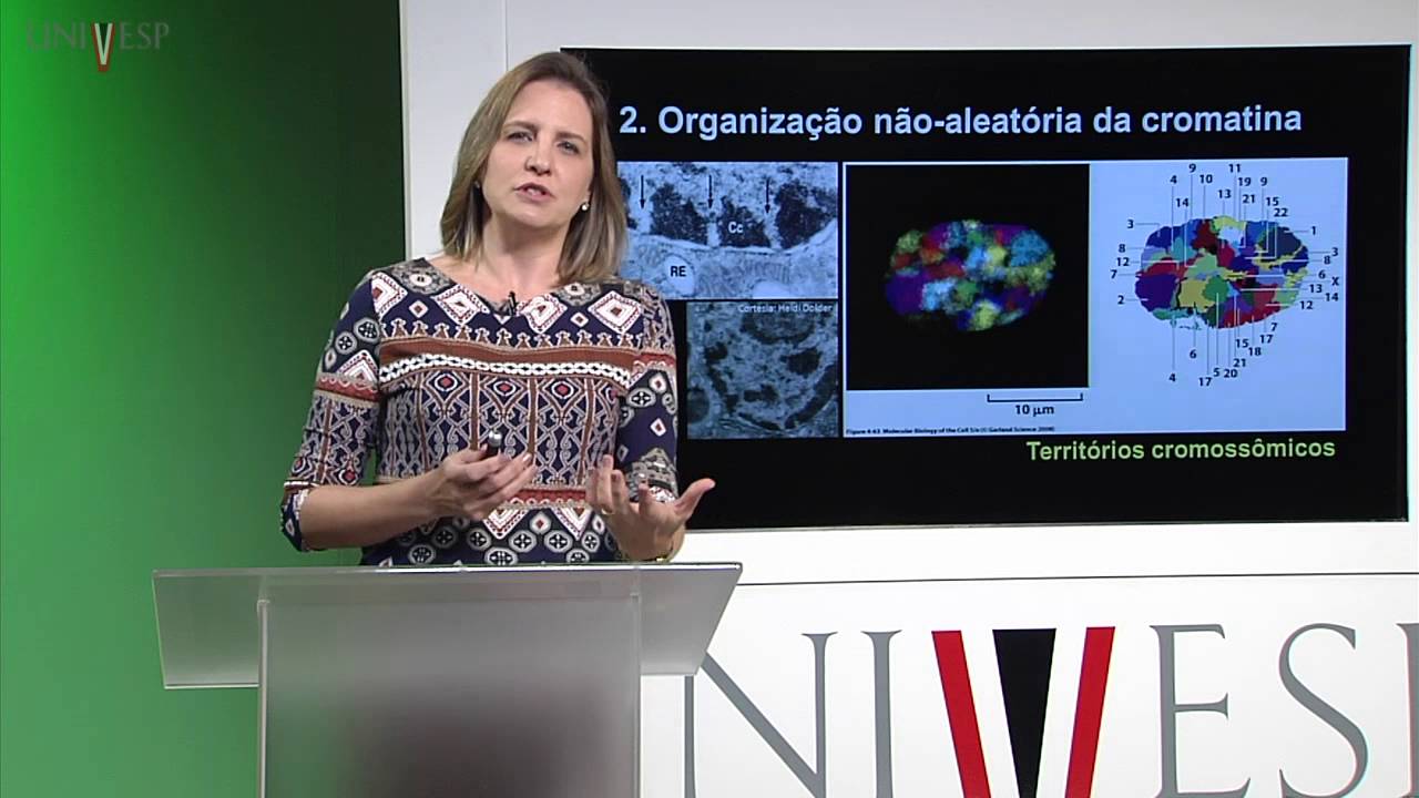 Células e Tecidos - aula 8 - Núcleo - alguns aspectos funcionais