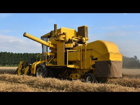 Clayson M103 - tarwe dorsen