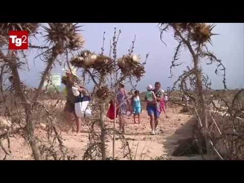 l'isola dell'accoglienza