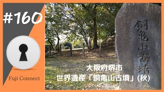 #160 大阪府堺市　銅亀山古墳(秋)