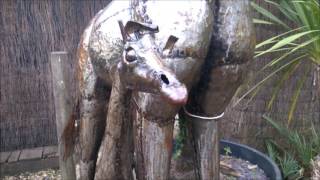 Akamba Heritage Centre video Solihull places to visit Akamba Heritage Centre video