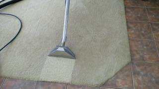 Professional Carpet Cleaning In Reading.