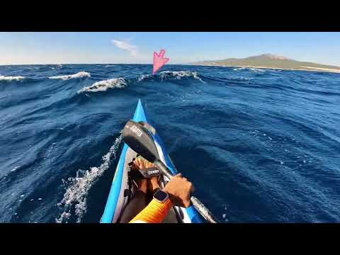 Flowing with the waves' energy in downwind