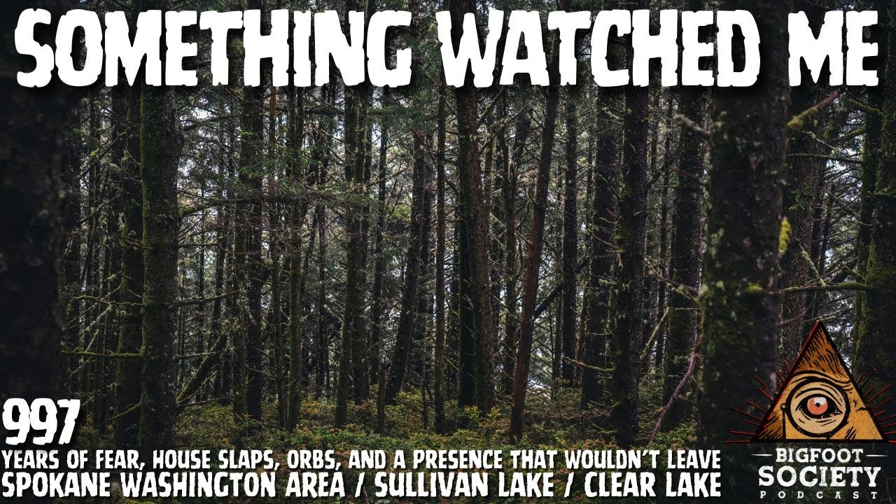 Something Followed Me Home in the Spokane Woods — Years of Fear Changed Me Forever