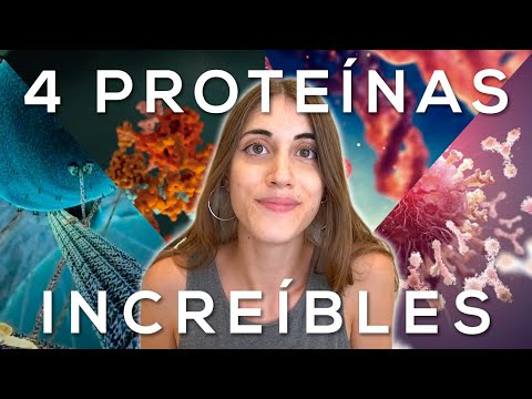 4 PROTEÍNAS INCREÍBLES que deberías conocer