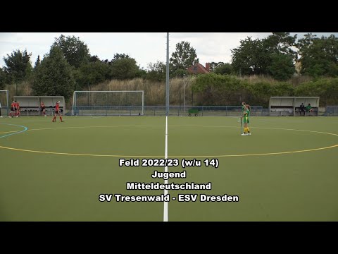 SV Tresenwald - ESV Dresden 1 : 3
