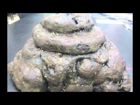 the making of khepri