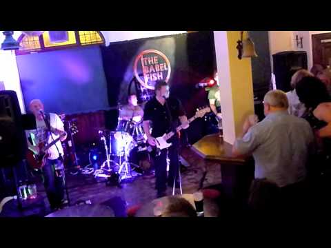 The Babel Fish live snippets @ the Fat Ox   Whitley Bay