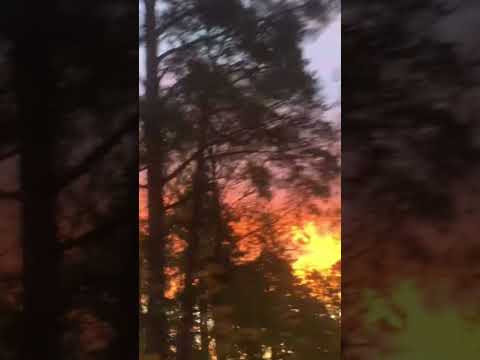 Finnish horizon. ❤️